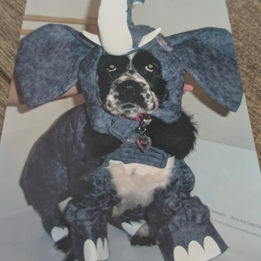 Gray Dog Elephant Costume